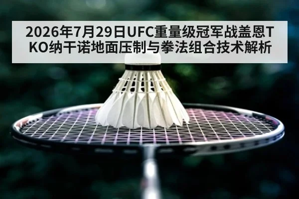 2026年7月29日UFC重量级冠军战盖恩TKO纳干诺地面压制与拳法组合技术解析