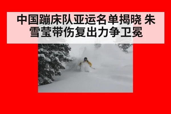 中国蹦床队亚运名单揭晓 朱雪莹带伤复出力争卫冕