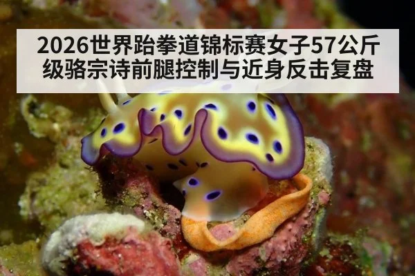 2026世界跆拳道锦标赛女子57公斤级骆宗诗前腿控制与近身反击复盘
