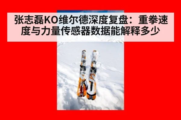 张志磊KO维尔德深度复盘：重拳速度与力量传感器数据能解释多少